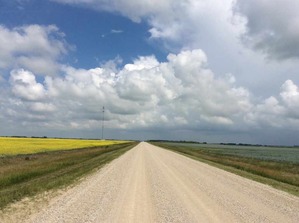 A Saskatchewan road