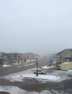 Foggy day in the neighbourhood